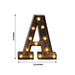9" Lighted Plastic Marquee Antique Black Light Up Letter