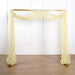 18 ft Sheer Organza Backdrop Curtain Window Drape Panel - Champagne CUR_PAN24_CHMP