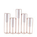5 Jointed Geometric Flower Vase Holders with Glass Test Tubes IRON_VASE_011_15_054
