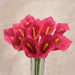 6 Burlap Mini Calla Lily Bushes - Fuchsia ARTI_6887_FUSH