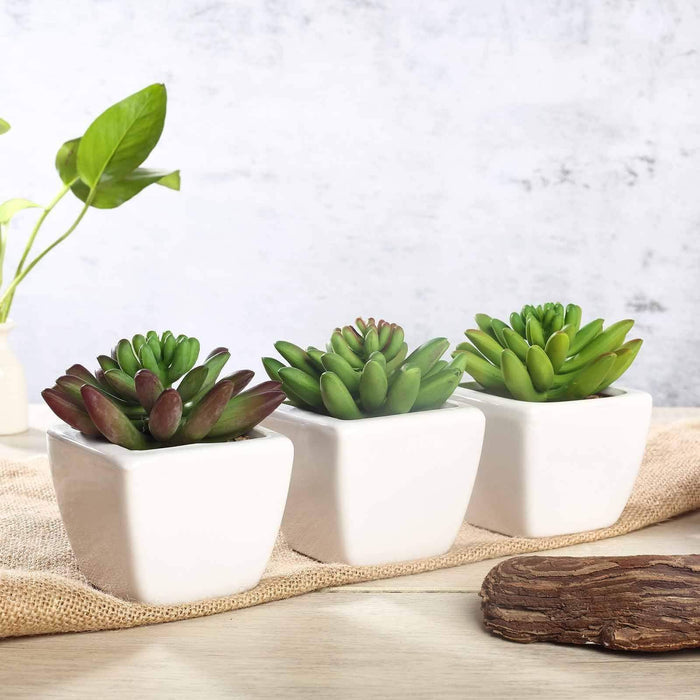 Set of 3 4" tall Faux Cute Crassula Succulent Plants with Off White Ceramic Pots - Assorted Colors ARTI_SUC_PT010_ASST