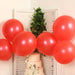 10 Biodegradable Party Balloons