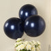 10 Biodegradable Party Balloons