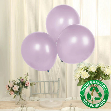 10 Biodegradable Party Balloons
