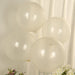 10 Biodegradable Party Balloons