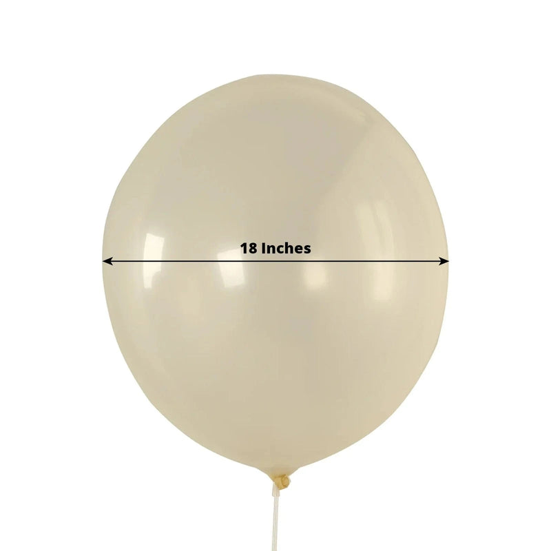 10 Biodegradable Party Balloons