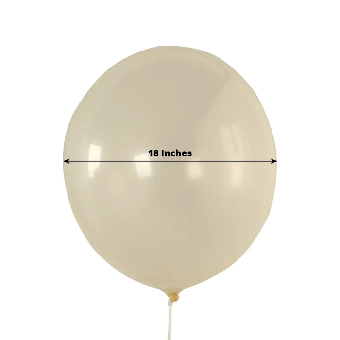 10 Biodegradable Party Balloons