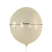 10 Biodegradable Party Balloons