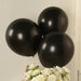 10 Biodegradable Party Balloons