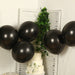 10 Biodegradable Party Balloons