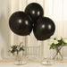 10 Biodegradable Party Balloons