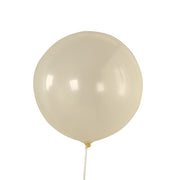 10 Biodegradable Party Balloons BLOON_BIO_PRL_18_CLR