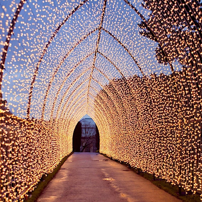 10 ft x 30 ft LED Curtain String Lights - Warm White LEDSTR03_10X30_CLR