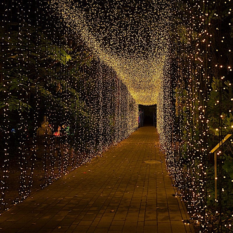 10 ft x 30 ft LED Curtain String Lights - Warm White LEDSTR03_10X30_CLR
