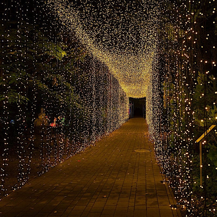 10 ft x 30 ft LED Curtain String Lights - Warm White LEDSTR03_10X30_CLR