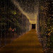 10 ft x 30 ft LED Curtain String Lights - Warm White LEDSTR03_10X30_CLR