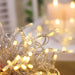 10 ft x 40 ft LED Curtain String Lights - Warm White LEDSTR03_10X40_CLR