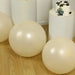 10 Matte Pastel 18" Biodegradable Party Balloons