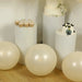 10 Matte Pastel 18" Biodegradable Party Balloons