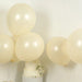 10 Matte Pastel 18" Biodegradable Party Balloons