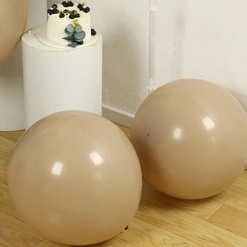 10 Matte Pastel 18" Biodegradable Party Balloons