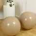 10 Matte Pastel 18" Biodegradable Party Balloons