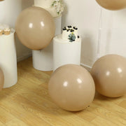 10 Matte Pastel 18" Biodegradable Party Balloons