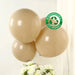10 Matte Pastel 18" Biodegradable Party Balloons