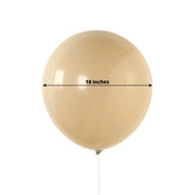 10 Matte Pastel 18" Biodegradable Party Balloons