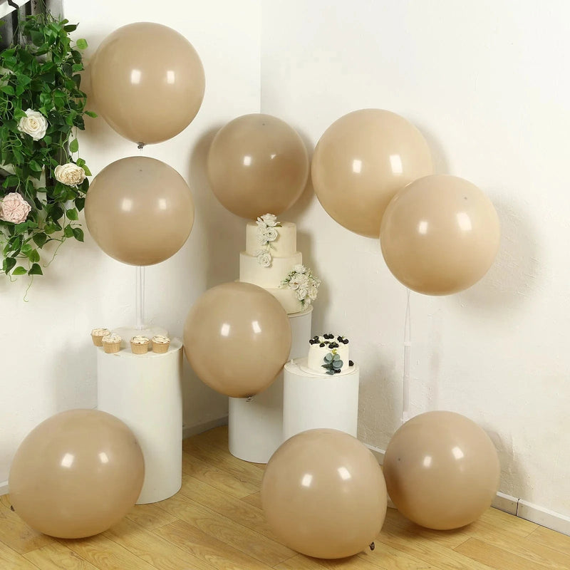 10 Matte Pastel 18" Biodegradable Party Balloons