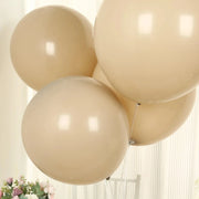 10 Matte Pastel 18" Biodegradable Party Balloons
