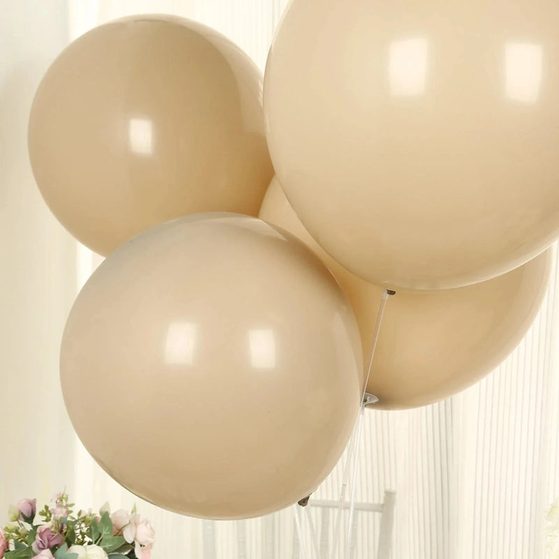 10 Matte Pastel 18" Biodegradable Party Balloons