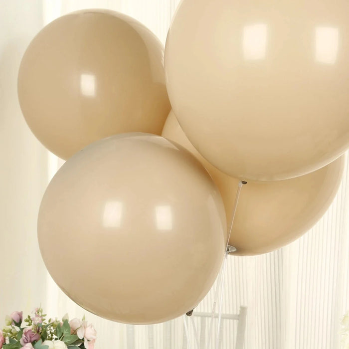 10 Matte Pastel 18" Biodegradable Party Balloons