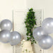 10 Metallic 18" Biodegradable Party Balloons