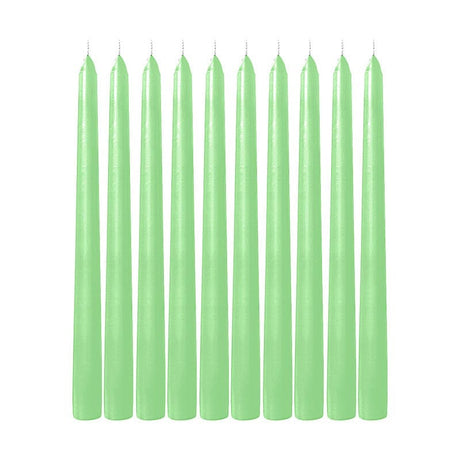 10 pcs 10