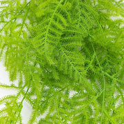 10 pcs 32” Artificial Hanging Fern Bushes - Green ARTI_GRN_HANG06_32