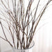 10 Realistic 37" Bendable Artificial Flower Stems Vase Fillers - Brown ARTI_BRCH01_37_BRN