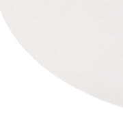 10 Round 12" Decorative Mirror Plastic Charger Plates MIRR_PS_RND_12_SILV