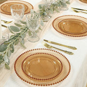 10 Round Plastic Salad Dinner Plates with Beaded Rim - Disposable Tableware