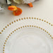 10 Round Plastic Salad Dinner Plates with Beaded Rim - Disposable Tableware