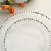 10 Round Plastic Salad Dinner Plates with Beaded Rim - Disposable Tableware