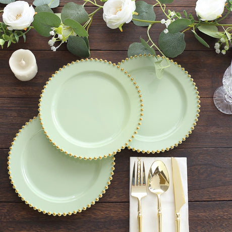 10 Round Plastic Salad Dinner Plates with Beaded Rim - Disposable Tableware