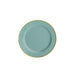 10 Round Plastic Salad Dinner Plates with Beaded Rim - Disposable Tableware DSP_PLR4239_10_087GD