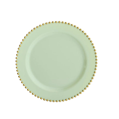10 Round Plastic Salad Dinner Plates with Beaded Rim - Disposable Tableware DSP_PLR4239_8_SGGD