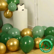 120 Biodegradable Balloon Garland - Gold and Green BLOON_BIO_KIT12_SGGD