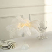 15" LED Ostrich Feather Table Lamp Desk Light Table Centerpiece