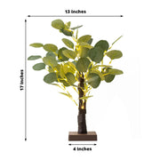 17" LED Fairy Lighted Artificial Eucalyptus Plant - Warm White LED_TREE02_GRN