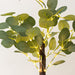 17" LED Fairy Lighted Artificial Eucalyptus Plant - Warm White LED_TREE02_GRN