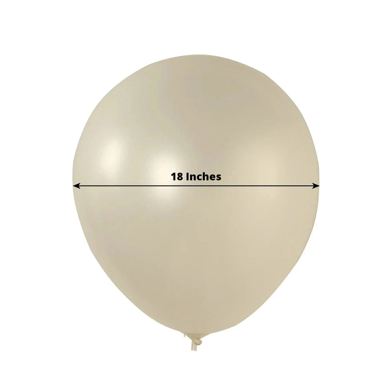 10 Biodegradable Party Balloons