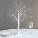 2 ft LED Fairy Lighted Artificial Birch Tree - White LED_TREE04_WHT